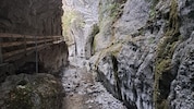 Selbst in der Alplochschlucht merkt man den Hitzesommer: Die Dornbirner Ach führt aktuell nun ...