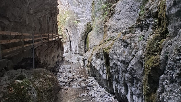 Selbst in der Alplochschlucht merkt man den Hitzesommer: Die Dornbirner Ach führt aktuell nun ...