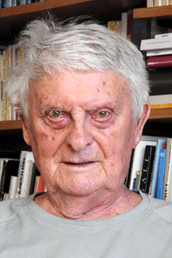 Der steirische Maler Luis Sammer ist im Mai 90 Jahre alt geworden