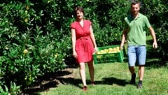 Victoria und Josef Singer bauen im oststeirischen Hartl Äpfel sowie andere Obstsorten an. 