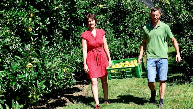 Victoria und Josef Singer bauen im oststeirischen Hartl Äpfel sowie andere Obstsorten an.