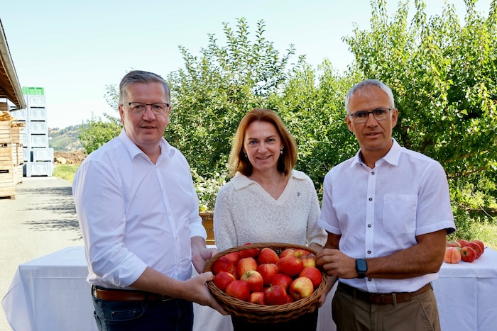 Lokalaugenschein am Obsthof Singer: Landwirtschaftskammer-Präsident Andreas Steinegger, ...