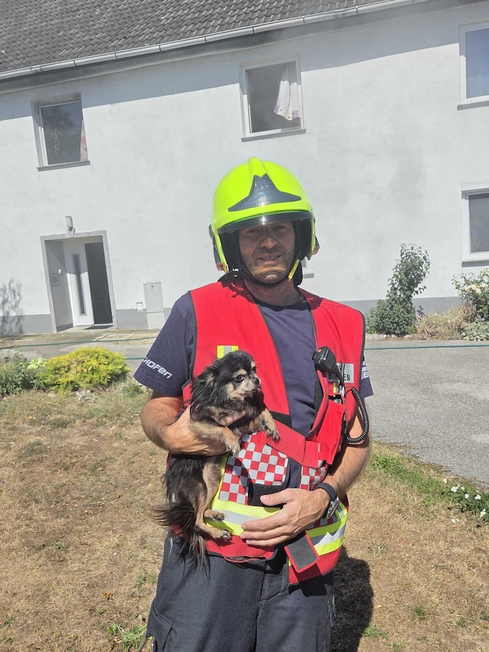 Feuerwehrmitglieder konnten einen Hund und eine Katze retten.