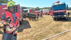 Durch den Einsatz der Feuerwehren konnte auch ein Hund gerettet werden. 