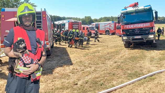 Durch den Einsatz der Feuerwehren konnte auch ein Hund gerettet werden.