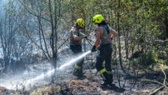 Die Freiwilligen brachten den Brand rasch unter Kontrolle.