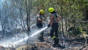 Die Freiwilligen brachten den Brand rasch unter Kontrolle.