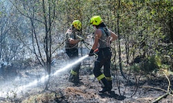Die Freiwilligen brachten den Brand rasch unter Kontrolle.