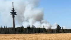 Seit Donnerstag stehen 25 Hektar Wald in Flammen. Der Rauch ist weithin zu sehen.