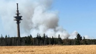 Seit Donnerstag stehen 25 Hektar Wald in Flammen. Der Rauch ist weithin zu sehen.