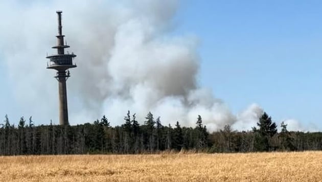 Seit Donnerstag stehen 25 Hektar Wald in Flammen. Der Rauch ist weithin zu sehen.