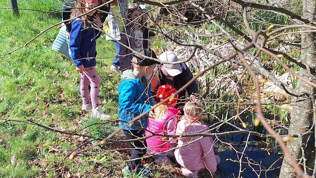 Kindern die Natur näher bringen, ist für Johann Juritsch zur Lebensaufgabe geworden.