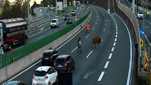 Eine der Ausreißerinnen war auf der Webcam zu sehen.