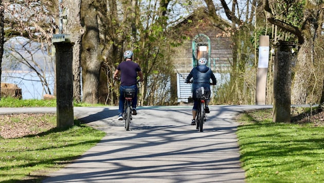 20 Prozent der Menschen im Ländle sind täglich mit dem Rad unterwegs.