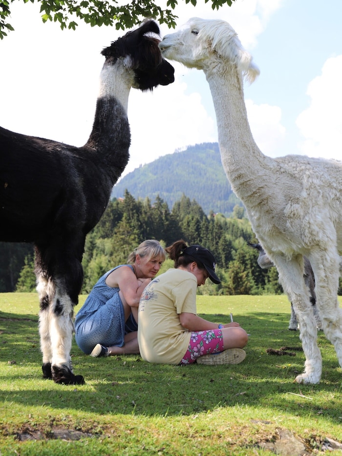 Katrin Horn-Moosbrugger (links) während einer Therapiestunde am Klausnerhof. Die Alpakas nähern ...