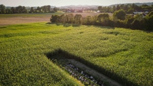 Ein Speisesaal mitten im Acker: Nach US-Vorbild rückte die Tafel direkt ins Feld.