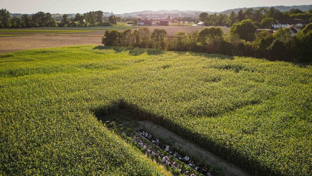 Ein Speisesaal mitten im Acker: Nach US-Vorbild rückte die Tafel direkt ins Feld.