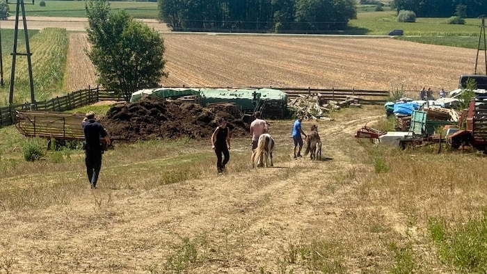 Nach einer Weide sah es auf diesem „Pferdehof“, der nach einer Anzeige genau kontrolliert wurde, ...