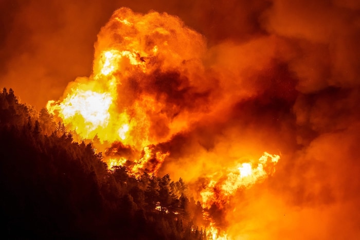 Der kroatische Feuerwehrchef Slavko Tucakovic sprach von „einem der schlimmsten Waldbrände in ...
