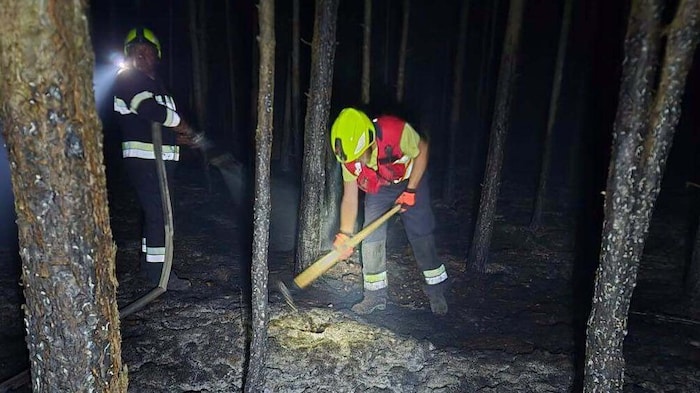 Zahlreiche Feuerwehren waren die ganze Nacht im Einsatz, um den Brand unter Kontrolle zu halten ...