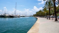 Der Deutsche sprang auf Mallorca von einer Betonmauer ins seichte Wasser. (Symbolbild)