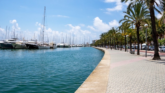 Der Deutsche sprang auf Mallorca von einer Betonmauer ins seichte Wasser. (Symbolbild)