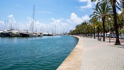 Der Deutsche sprang auf Mallorca von einer Betonmauer ins seichte Wasser. (Symbolbild)
