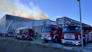 Alarmstufe 4 auch in Sollenau: 15 Feuerwehren mussten zum Löscheinsatz ausrücken.