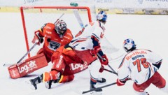 Nissner (re.) traf für die Eisbullen gegen Mountfield.