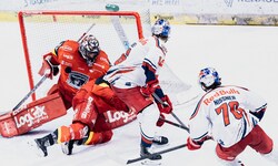Nissner (re.) traf für die Eisbullen gegen Mountfield.