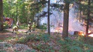 Die Feuerwehr musste eine lange Leitung zum Brand legen.