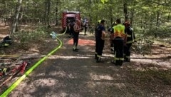 Die Feuerwehren aus Neudörfl und Pöttsching waren bei einem Waldbrand im Einsatz, als eine ...