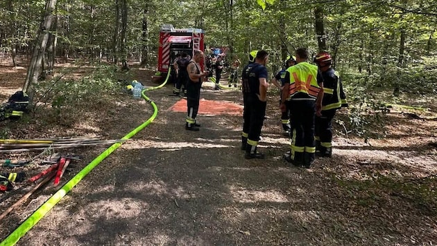 Die Feuerwehren aus Neudörfl und Pöttsching waren bei einem Waldbrand im Einsatz, als eine ...