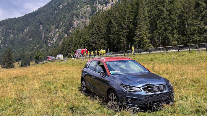 Das Fahrzeug landete auf einer Wiese.