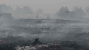 In Belgien brennt ein Gebiet, das aus Torfflächen und Heideland besteht. Mehr als 250 ...
