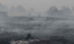 In Belgien brennt ein Gebiet, das aus Torfflächen und Heideland besteht. Mehr als 250 ...