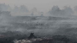 In Belgien brennt ein Gebiet, das aus Torfflächen und Heideland besteht. Mehr als 250 ...