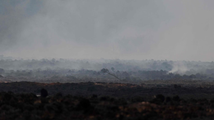 Der Waldbrand im Hohen Venn ist der größte in der Geschichte Belgiens.