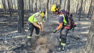 Noch immer gibt es kein „Brand aus“ im Föhrenwald in St. Egyden. Die große Gefahr des zweiten ...