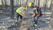 Noch immer gibt es kein „Brand aus“ im Föhrenwald in St. Egyden. Die große Gefahr des zweiten ...