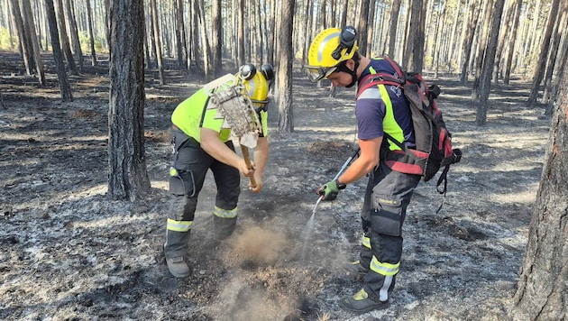 Noch immer gibt es kein „Brand aus“ im Föhrenwald in St. Egyden. Die große Gefahr des zweiten ...