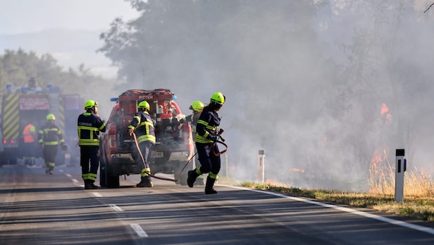 Der Föhrenwaldbrand wurde durch Munitionsteile ausgelöst.