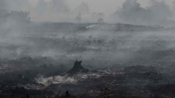 Naturschutzgebiet Hohe Venn in Belgien