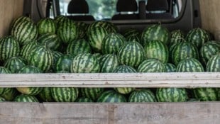 Ein betrunkener Lenker kracht in Deutschland gegen einen Baum und verliert 22 Tonnen ...