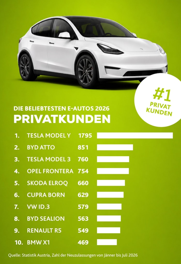 Bei Privatkunden ist auch der chinesische Autobauer BYD beliebt.