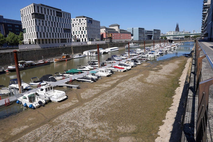 Der Rhein führt vielerorts kaum noch Wasser – immer mehr Boote liegen auf Grund.