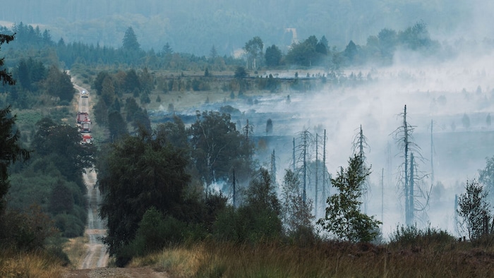 Der Waldbrand in Belgien war am Montag noch nicht unter Kontrolle, er breitete sich aber auch ...
