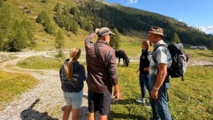 Auf der Frohnalm ist es zu den Vorfällen gekommen. 