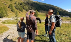 Auf der Frohnalm ist es zu den Vorfällen gekommen. 