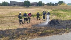 Die Feuerwehren mussten zu vier Brandorten gleichzeitig ausrücken und konnten das Feuer aber ...